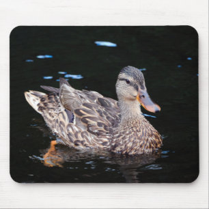 Female Mallard Duck Mouse Mat
