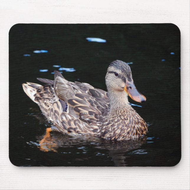 Female Mallard Duck Mouse Mat (Front)