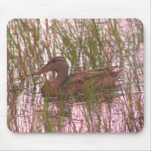 Female Mallard Duck Nature  Mouse Mat