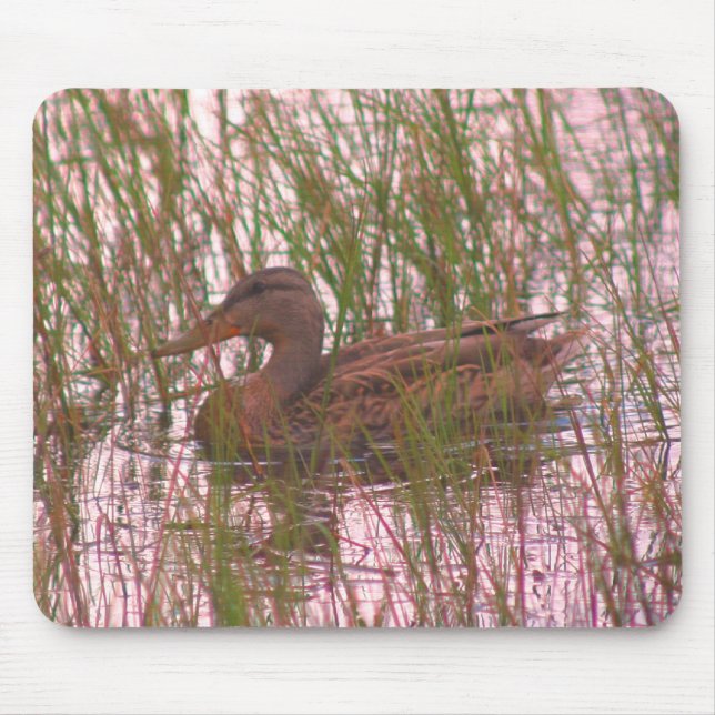 Female Mallard Duck Nature  Mouse Mat (Front)