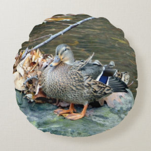 Female Mallard Duck (on Rock) Round Pillow