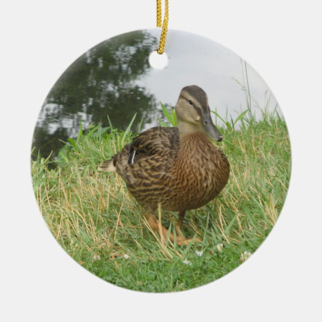 Female Mallard Duck Ornament (Front)