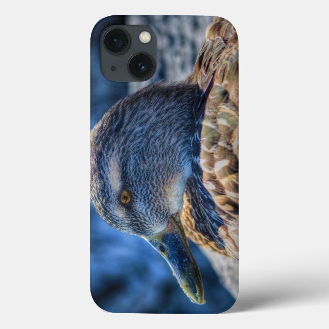 Female Mallard Duck Wildlife Portrait Case-Mate iPhone Case (Back)