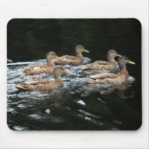 Female Mallard Ducks Mouse Mat