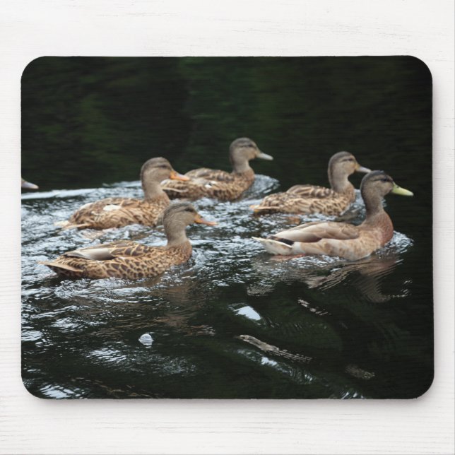 Female Mallard Ducks Mouse Mat (Front)