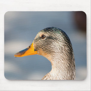 Female Mallard Mouse Mat