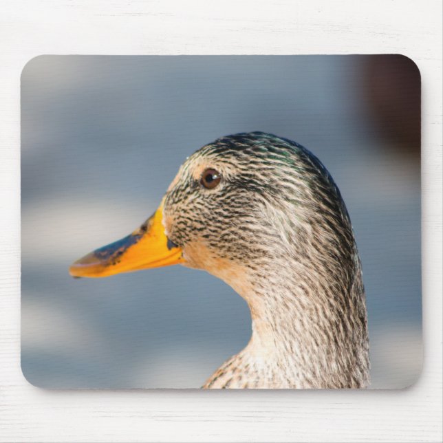 Female Mallard Mouse Mat (Front)