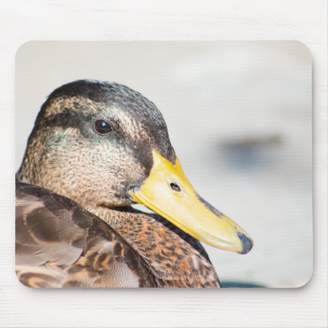 Female Mallard Mouse Mat (Front)