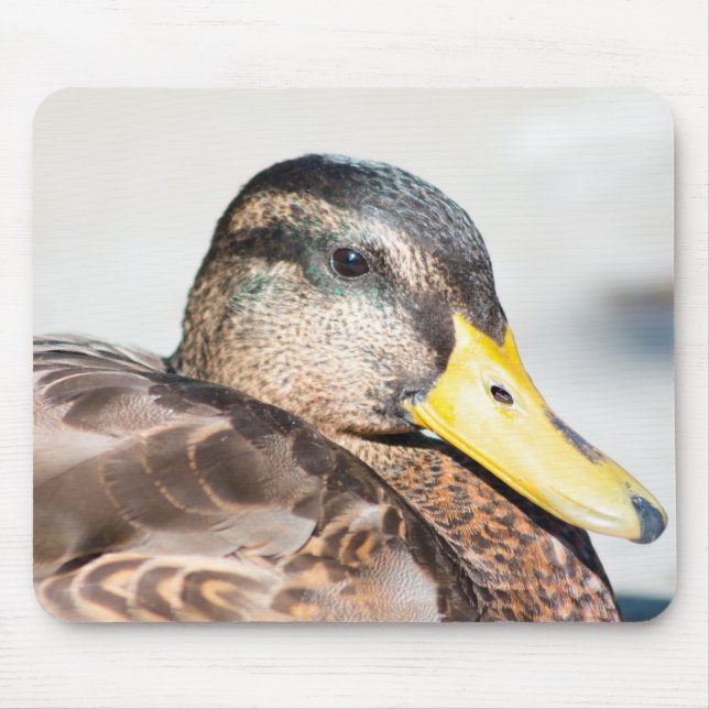 Female Mallard Mouse Mat (Front)