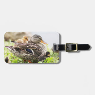 Female Mallard Surrounded By Ducklings Luggage Tag