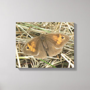 Female Meadow Brown Butterfly Canvas Print