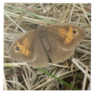 Female Meadow Brown Butterfly Tile