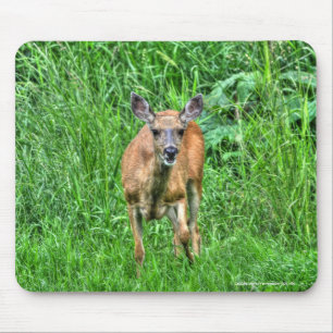 Female Mother Mule Deer on Ranch Wildlife Photo Mouse Mat
