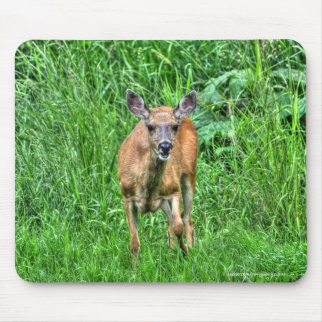 Female Mother Mule Deer on Ranch Wildlife Photo Mouse Mat (Front)