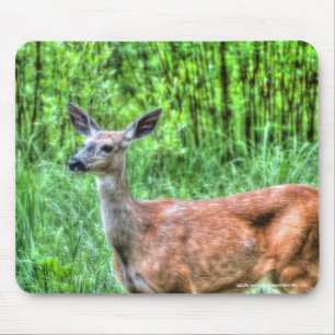 Female Mother Mule Deer on Ranch Wildlife Photo Mouse Mat