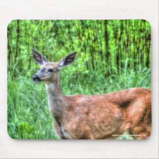 Female Mother Mule Deer on Ranch Wildlife Photo Mouse Mat