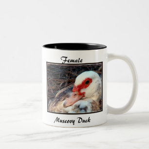 Female Muscovy Duck Two-Tone Coffee Mug