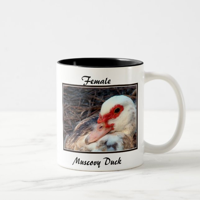 Female Muscovy Duck Two-Tone Coffee Mug (Right)