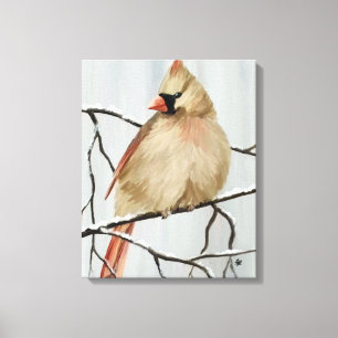 Female Northern Cardinal Bird Art Canvas Print