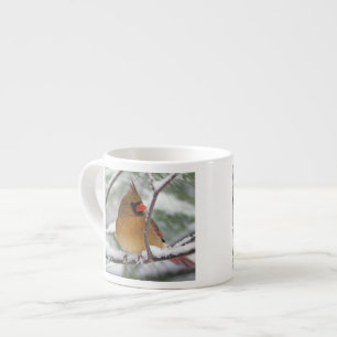 Female Northern Cardinal in snowy pine tree, Espresso Cup