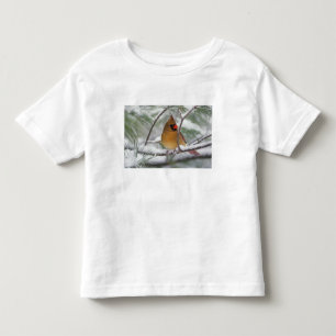 Female Northern Cardinal in snowy pine tree, Toddler T-Shirt