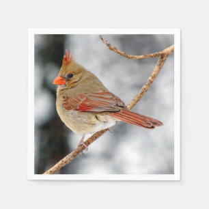 Female Northern Cardinal Paper Napkin