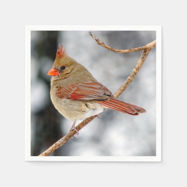 Female Northern Cardinal Paper Napkin (Front)