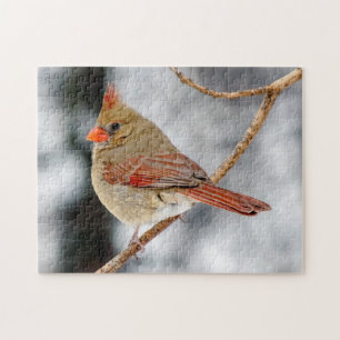 Female Northern Cardinal Puzzle