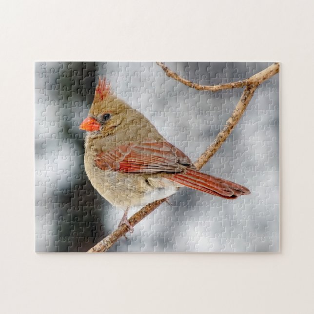 Female Northern Cardinal Puzzle (Horizontal)