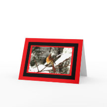 Female Northern Cardinal Sitting On Snowy Tree