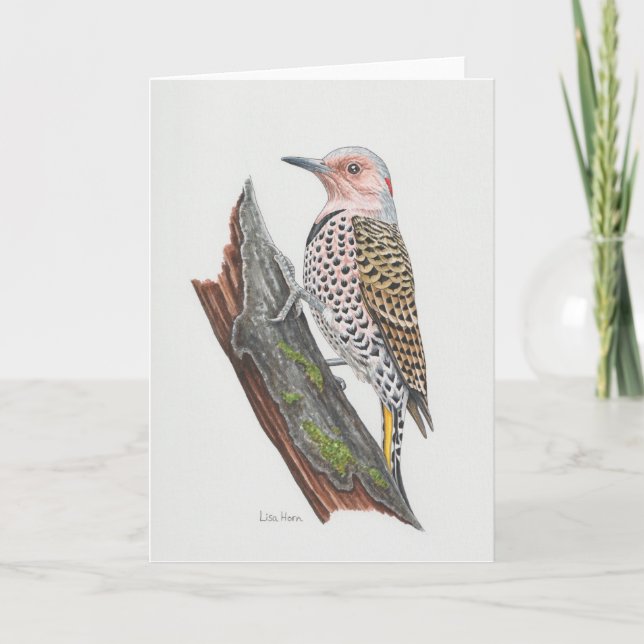 Female Northern Flicker Art Card (Front)