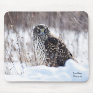 Female Northern Harrier Mouse Mat