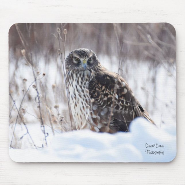 Female Northern Harrier Mouse Mat (Front)