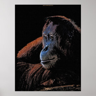 Female Orangutan Great Ape Wildlife Art Poster