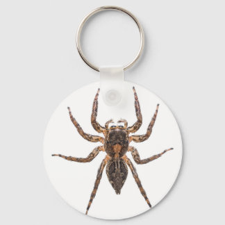 Female Pantropical Jumping Spider Key Ring