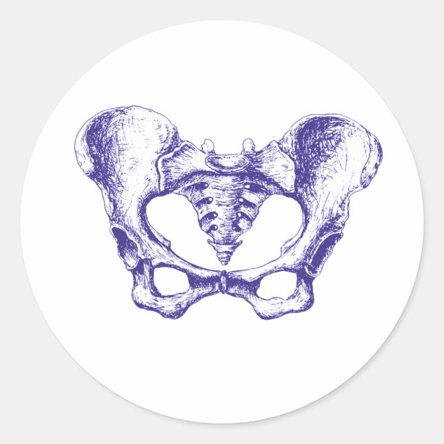 Female Pelvis Blue Classic Round Sticker (Front)