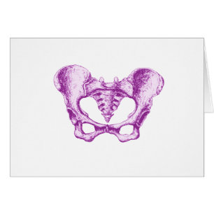 Female Pelvis Purple
