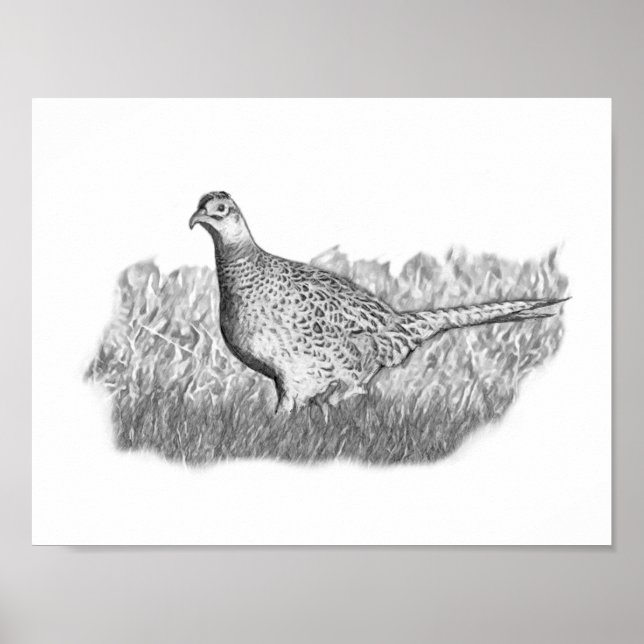 Female Pheasant Poster (Front)