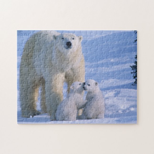Female Polar Bear Standing with 2 Cubs Jigsaw Puzzle (Horizontal)