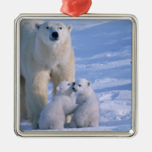 Female Polar Bear Standing with 2 Cubs Metal Tree Decoration