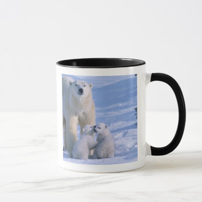 Female Polar Bear Standing with 2 Cubs Mug (Right)
