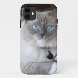 Female Ragdoll Cat iPhone 11 Case