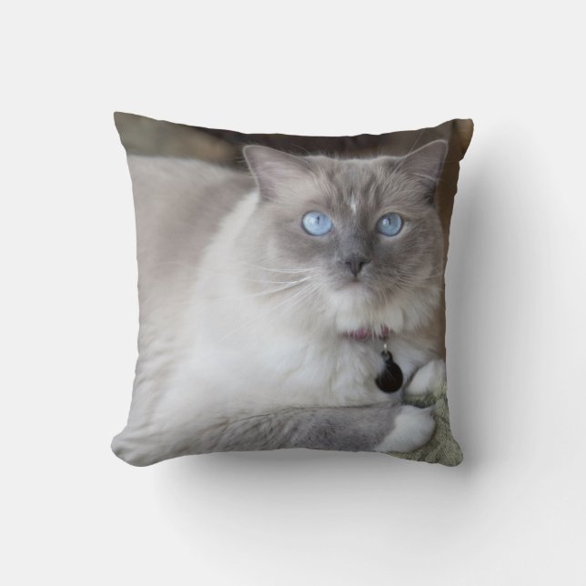 Female Ragdoll Cat Cushion (Front)