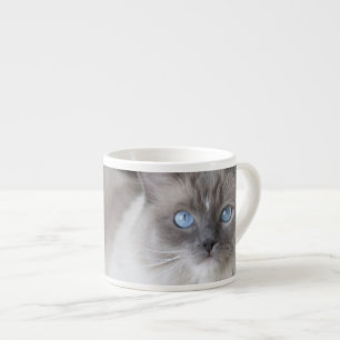 Female Ragdoll Cat Espresso Cup