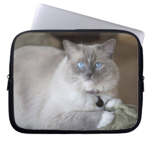 Female Ragdoll Cat Laptop Sleeve