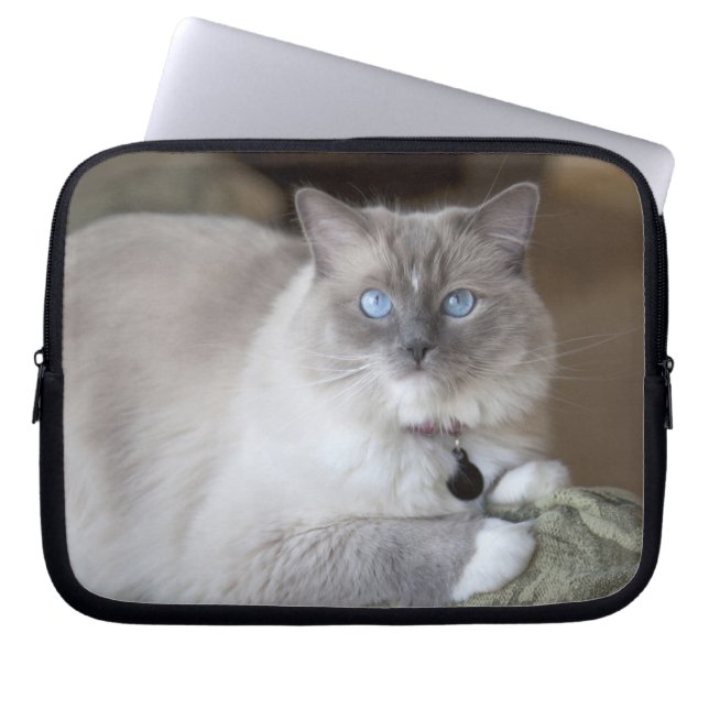 Female Ragdoll Cat Laptop Sleeve (Front)