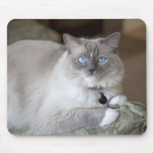 Female Ragdoll Cat Mouse Mat
