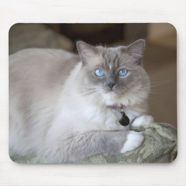 Female Ragdoll Cat Mouse Mat (Front)