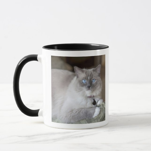 Female Ragdoll Cat Mug (Left)