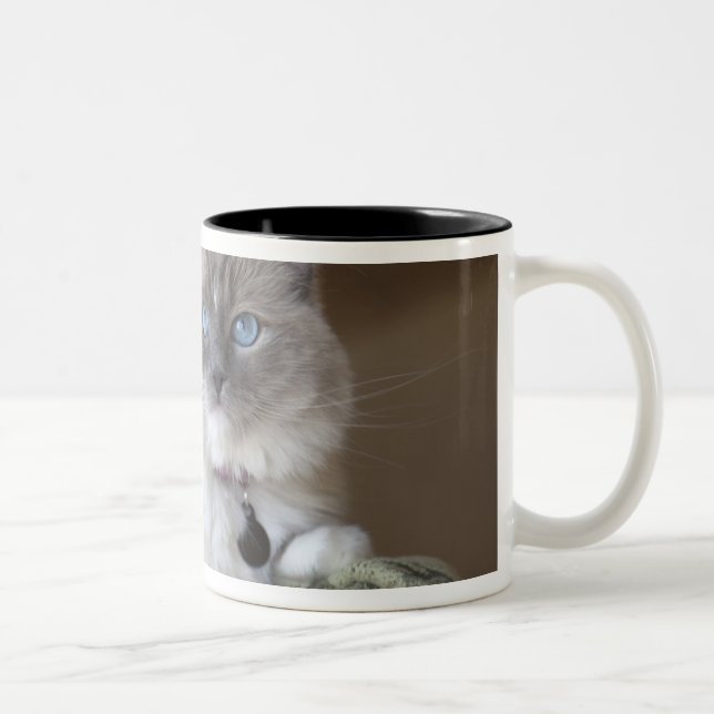 Female Ragdoll Cat Two-Tone Coffee Mug (Right)